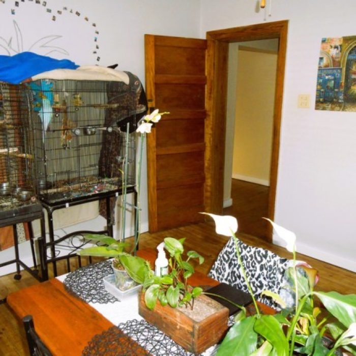 Property_Studio_2124_11