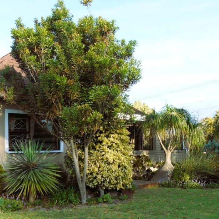 Property_Studio_2124_26
